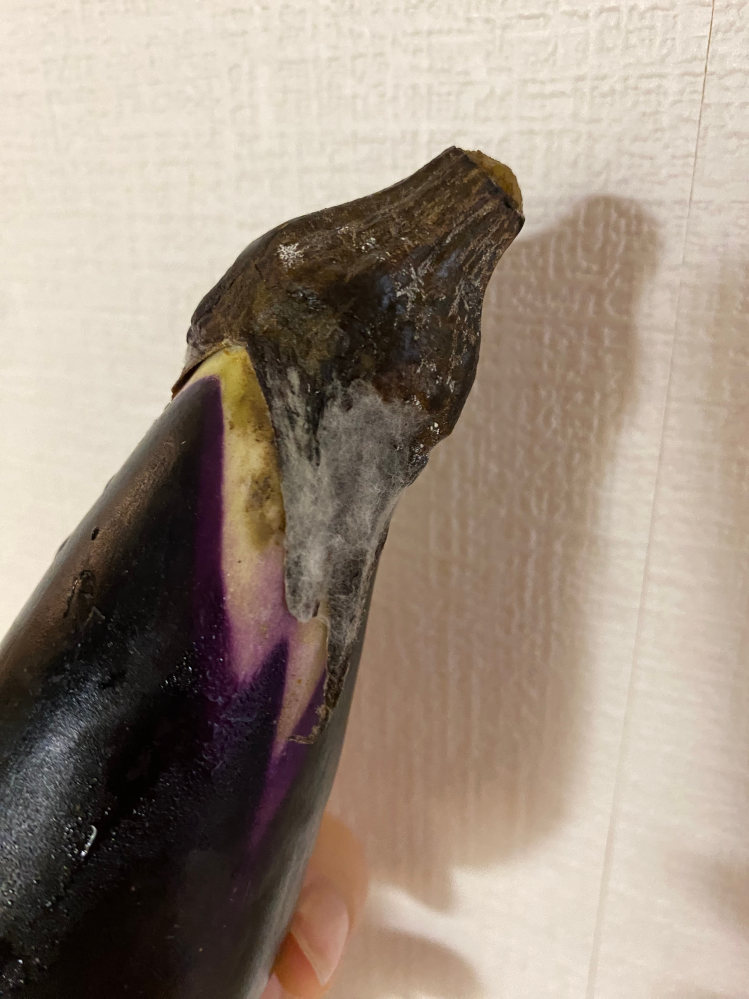 冷蔵庫に入っていたナスのヘタの部分が腐って、少し白いカビか生えて 