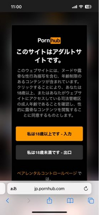 大至急ご回答お願い致します
ポルノハブと言うサイトが見たくて押したのですが
この様な画面が出てきました。
まだ13歳の中2なので押したら駄目ですか？
請求とか親の携帯にメールが送られたりしますか？ 同じ中2の方は押したりしてますか、