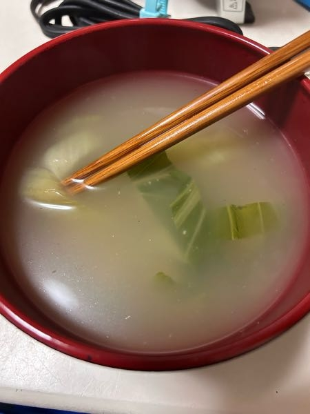 昨日の夜にチンゲン菜と豆腐のスープを作りました。昨日はもう少し透明に近い色のスープだった記憶があるのですが、翌日の今日スープを見てみたら具材が見えにくくなるくらい濁っていて、気になりました。 温めて沸騰させても色は変わりませんでした。匂いも普通に昨日のスープのままで腐っている感じではないです。少し味見もしましたが、変ではなかったです。飲んでも大丈夫でしょうか？また、何が原因なのでしょうか？ 母が作っていたので材料は確実じゃないのですが、 チンゲン菜、豆腐、中華味、（塩？）、こしょう でスープを作ったと思います。 質問して結局待ちきれずにめっちゃ食べました 笑