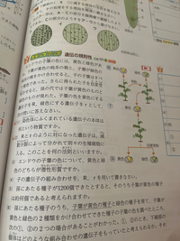 （5）の求め方を教えてください 