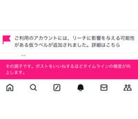 大至急です。機械音痴で調べても理解できずどうしたらいいか分からないのでそもそもこれ（画像のもの）はなんなのかや対処法などを教えてください。X（Twitter）のお話です。 最初普通にリプ返しをしてたら急にアカウントにロックがかかりました。これは偶にあるのでまた入り直せばいいのですが 入り直したらいつもは出ない（画像の上のもの）が出てきました。規約を見直しましたがルールを破ったり迷惑行為はした...