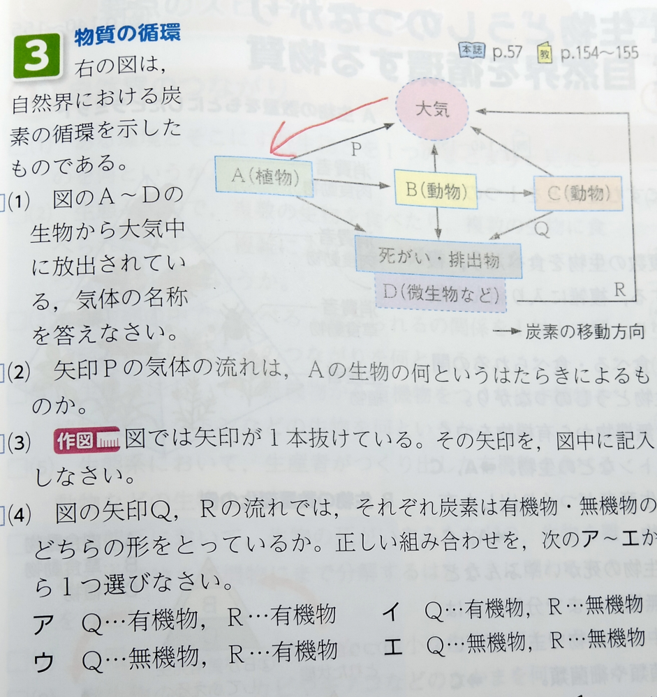 中3理科生物について質問です。 (2)の問題で、自分は「光合成」だと思ったのですが実際の答えは「呼吸」でした。 簡単に言うと、 光合成は二酸化炭素を取り込み酸素を出す。 呼吸は酸素を取り込み二酸化炭素を出す。 と、思っているのですがこれは合っていますか？だとしたら、この矢印だけではどちらが酸素、二酸化炭素なのかわからないので光合成なのか呼吸なのか分からないと思うのですがどうなのでしょうか。 分からないだらけですが教えて欲しいです。