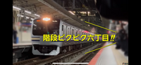 E217系復刻塗装の横浜駅で「階段びくびく6丁目」ってなんですかね？ 