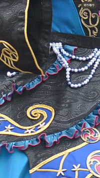 Dハロ仮装者です。来年フレンジーのクラゲダンサーをする予定