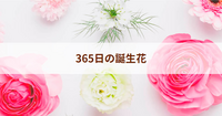 365日の誕生日花

あなたの花はなに？

イネス 