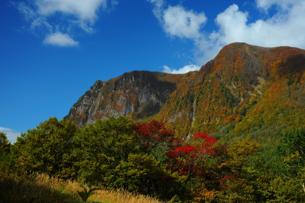 山形県の黒伏山の魅力を教えてください。 登山家に人気があると聞きました。