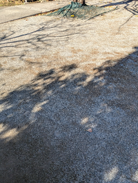 この公園の地面は何故雑草が生えないのでしょうか? 公園の脇にあるちょっとした花壇の中は雑草でぼうぼうです、土が踏み固められて固くなっているので種が根を張れないのでしょうか? 学校の校庭も同じ原理でしょうか? 私も不動産を管理していてたまに雑草が生えてないところを見ると何故生えないのか疑問に思うんです、土を固めれば雑草が生えなくなるならやってみたいですが、ここまでどのようにして土を固めたのでし...