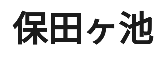 これ、ホダガイケと読むのですが入力するとき 保田 と 池 は入力できるのですが、間の小さい ケ がうまいこと変換できません どのように入力したらいいでしょうか？