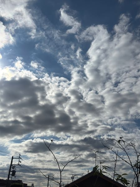 この雲は何雲でしょうか？教えてください。