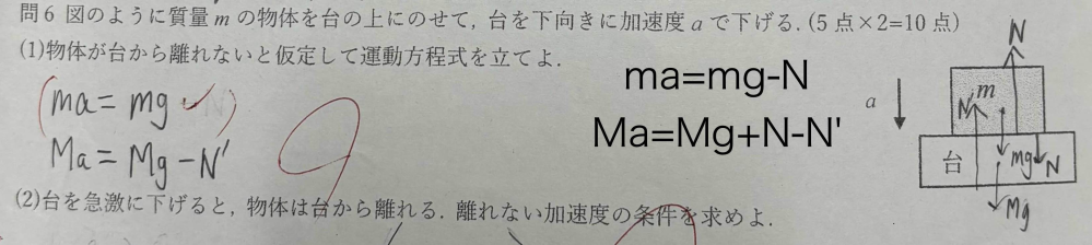 高校で習う物理基礎の運動方程式について質問です 画像の問題の(1)なんですが、ma=mg,Ma=Mg-N'という運動方程式にはNが含まれてないのに、正解となっている理由がわからないです 僕が考えた運動方程式は右のma=mg-N,Ma=Mg+N-N'です Nを含めないのが正解なのはなぜですか？