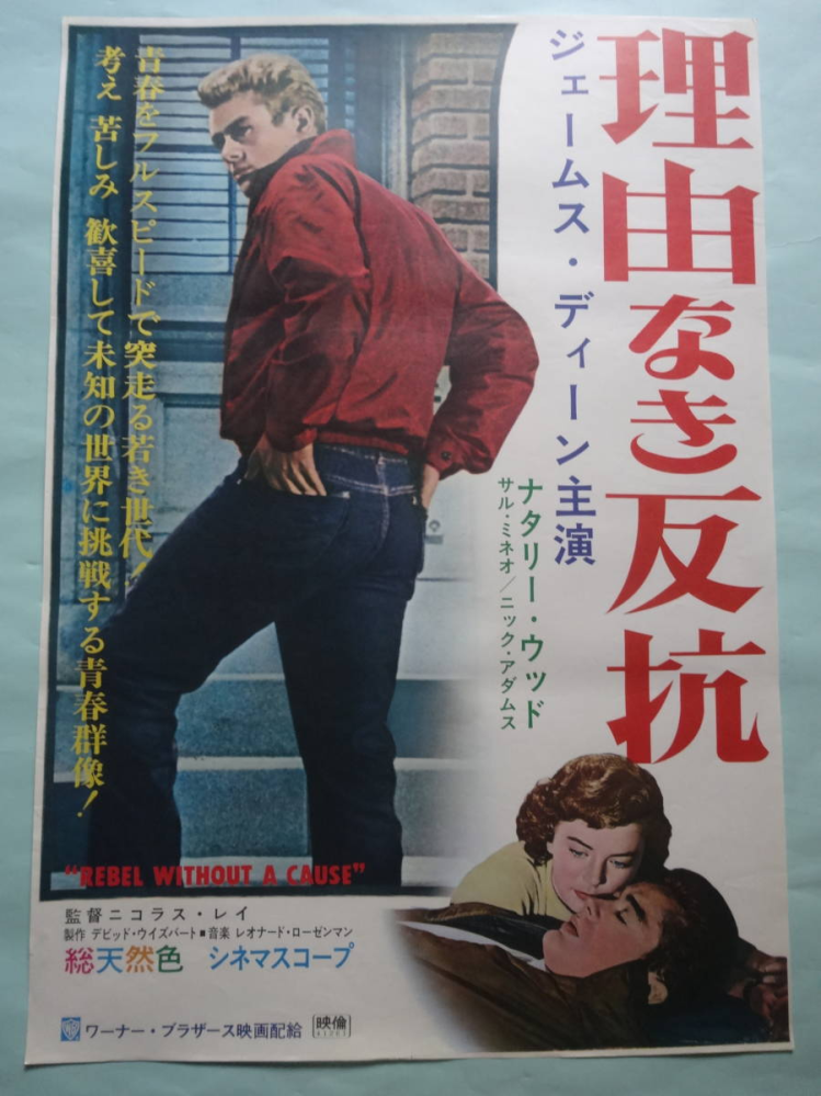 143本目 「理由なき反抗」 （1956年） 観たことありますか？ 監督 ニコラス・レイ 出演 ジェームス・ディーン ナタリー・ウッド サル・ミネオ