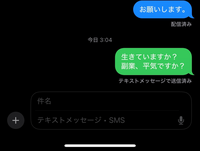 SMS、iMessageについてです
 青い部分がショートメッセージのはずです送れてました 最後の緑の吹き出しがテキストメッセージで送信済みとあるのですが送れてるってことですか？ あと最初送った当初は青吹で送信済みにならなかったのですが、数分して開いたら緑吹き出しでテキストメッセージで〜と書いてありました
 
 相手はiPhone、私はAndroidのSIMのiPhoneです