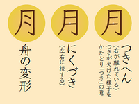 漢字の質問です。へんとつくりのへんの方の「つきへん」と「にくづき 
