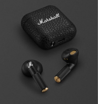現在、私が使ってるこのMarshallイヤホンの左側が全く音が鳴らず