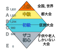 初心者であるにもかかわらず、中級を名乗ってしまう人が続出するので、中級を説明するための図をp4match での実態の人数に近づけて修正しました。
どうでしょうか？ 