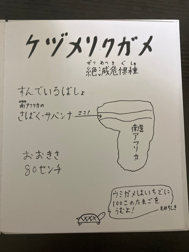 中3です。 家庭科の授業で絵本作りをやっています。 完成に近づいてはいるのですが、隙間が寂しく、色の付け方もわかりません。 どなたか改善点やアドバイスをお願いします。 低クオリティですいません。 あと私だけ間違えて絵本ではなく亀の図鑑を作っています。