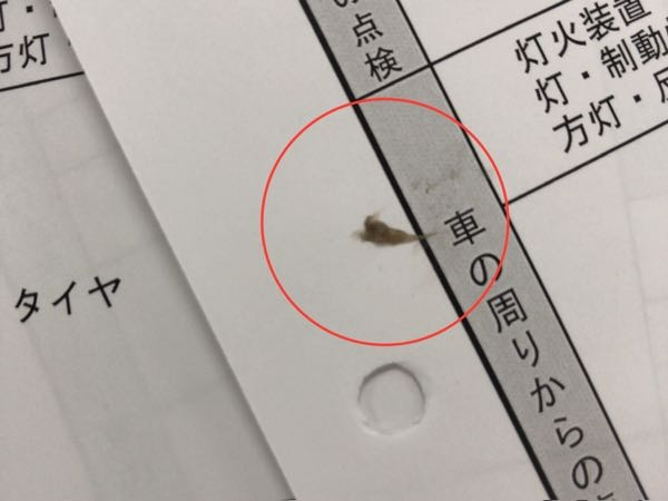 赤丸の異物は何ですか？