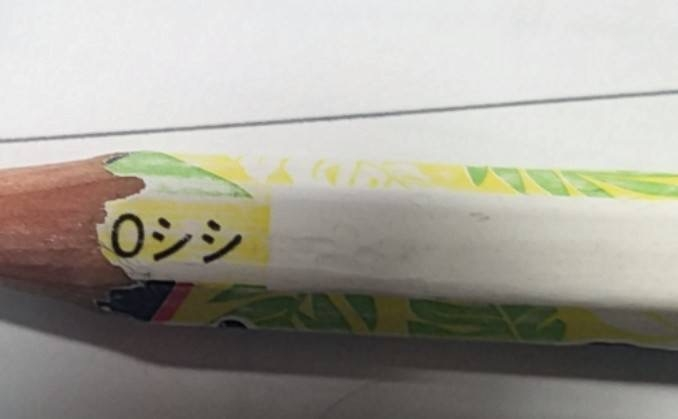 鉛筆について質問です。 ポケモンの鉛筆に0シシと書いてあるのですが、どのような意味なのか教えてください！