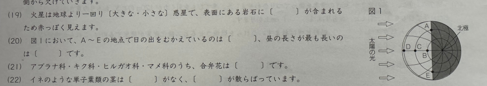 この算数の問題の(20)の詳しい解説を、中学受験をする小学六年生にわかるようによろしくお願い致します。 解答はA D です。