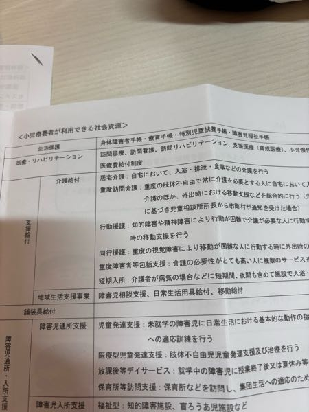 この表の1番上にある、生活保護の欄に身体障害者手帳や療育手帳などがありますがこれが生活保護の中に含まれるってことですか？