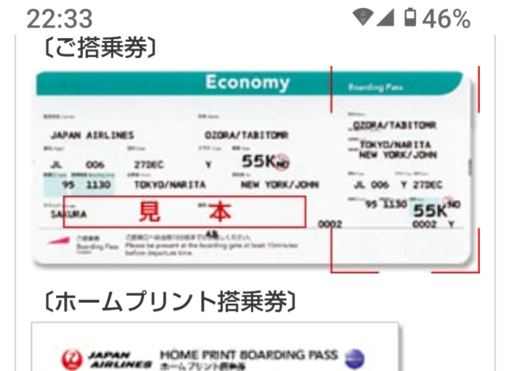 JAL の 国際線のマイレージの後付の必要書類に会員名義のご搭乗券（原券）とありますが これで搭乗券の右側のミシン目がある半券だけで大丈夫なんでしょうか？