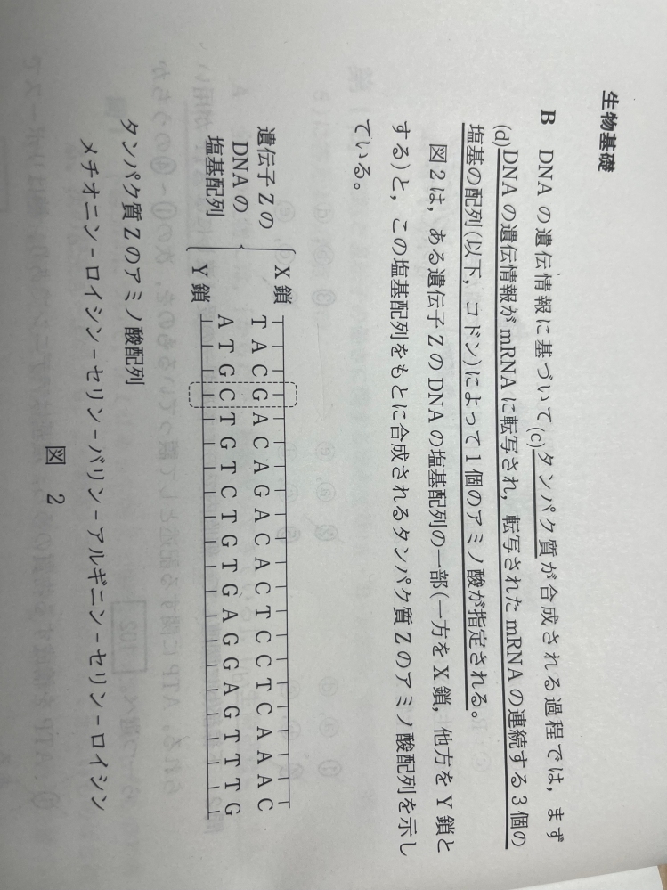 DNAの鋳型について教えてください！ 問題 下線部dに関連して、図2に示したDNAの2本の鎖（X鎖とY鎖）のうち、転写の際に鋳型となった鎖はどちらか。また、転写によってどのような塩基配列のmRNAが生じたか。その組み合わせとして最も最適なものを選べ。なお、転写は図2の左側から右側に向かって進行し、また、mRNAのメチオニンを指定するコドンは翻訳の開始を指定するコドンとしても働き、このコドンにCは含まれない。 これについて「どっちが鋳型なのか」と、遺伝子暗号表がないのにこの問題をどう解けばいいか教えてください！！！