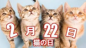 猫好きの人は「ねこの日（２月22日）」にどんなことをしていますか？