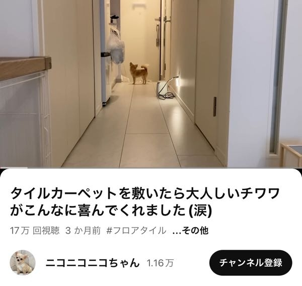 この動画の冒頭に使用されているBGM名を教えてください。 ニコニコニコちゃん タイルカーペットを敷いたら大人しいチワワがこんなに喜んでくれました(涙)