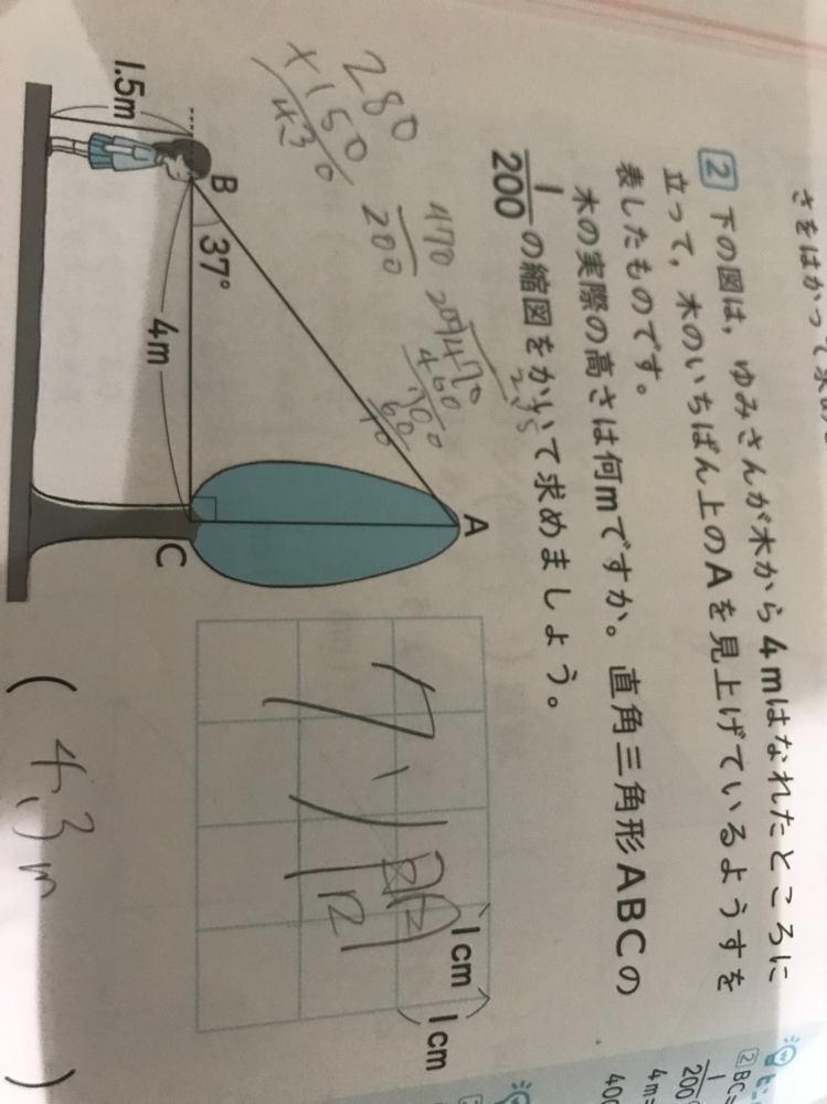 算数について質問します。 写真に添付した問題で、ACが3m(1.5cm)になる理由がわかりません。解説見ても理解できないのでわかる人いたら教えてくださると助かります。