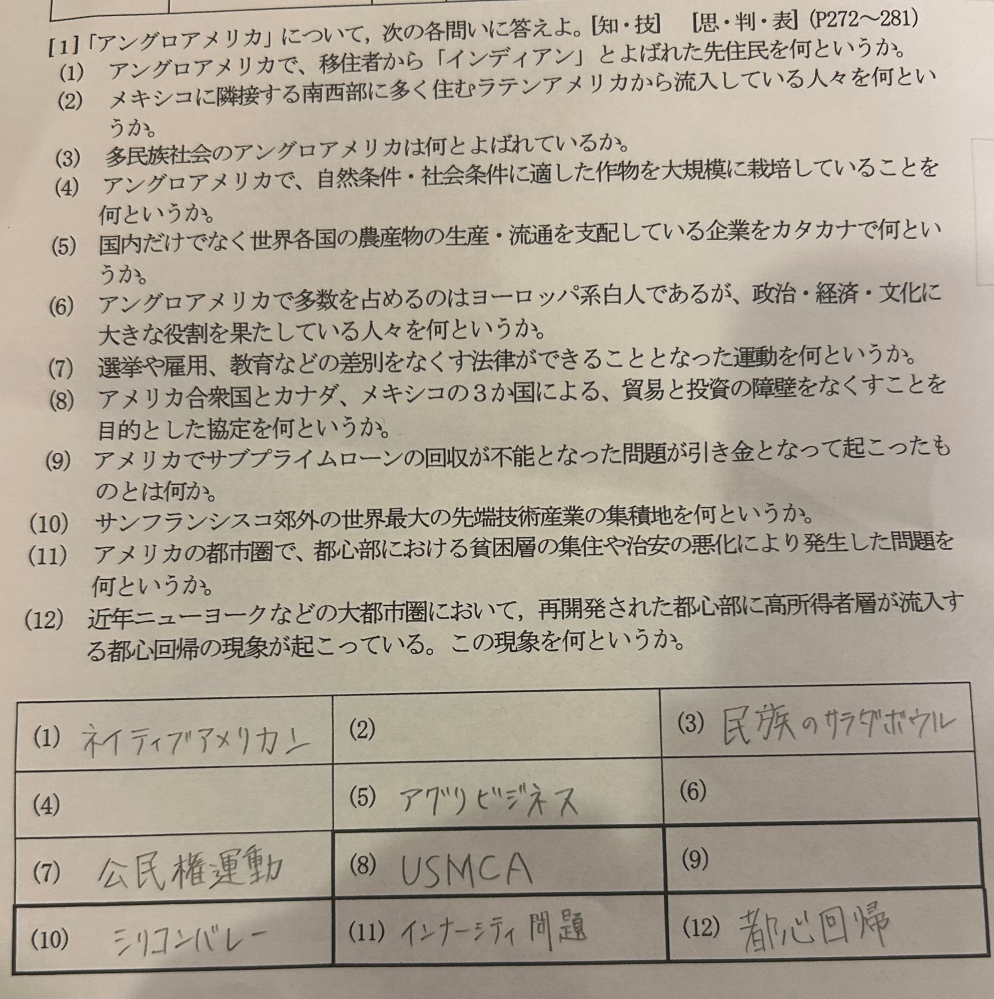 大至急です！！1問でもいいので誰か解いてください！！泣 地理です！ 解答欄に書いてあるものも自信ありません！