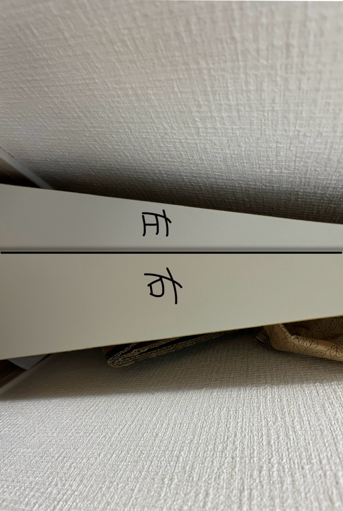 虫についての質問です。虫の画像は無いです。 横幅約1mの本棚の後ろに、去年の6月からAmazonのダンボールや紙袋などを溜め込んでいます。 部屋では、見つけた範囲の中では小さい蜘蛛が1匹、夏に蚊が2匹ほど出たことがあり、それ以外は見たことはありません。 寝る前に静かにしていると、棚の後ろから物音がした気がする？！みたいになことがたまにあります。 エアコンは週に2回ほど付け、窓はほぼ開けた記憶がありません。 棚の後ろを整頓したいのですが、ゴキブリやその他の虫が居たりすることはありますでしょうか？