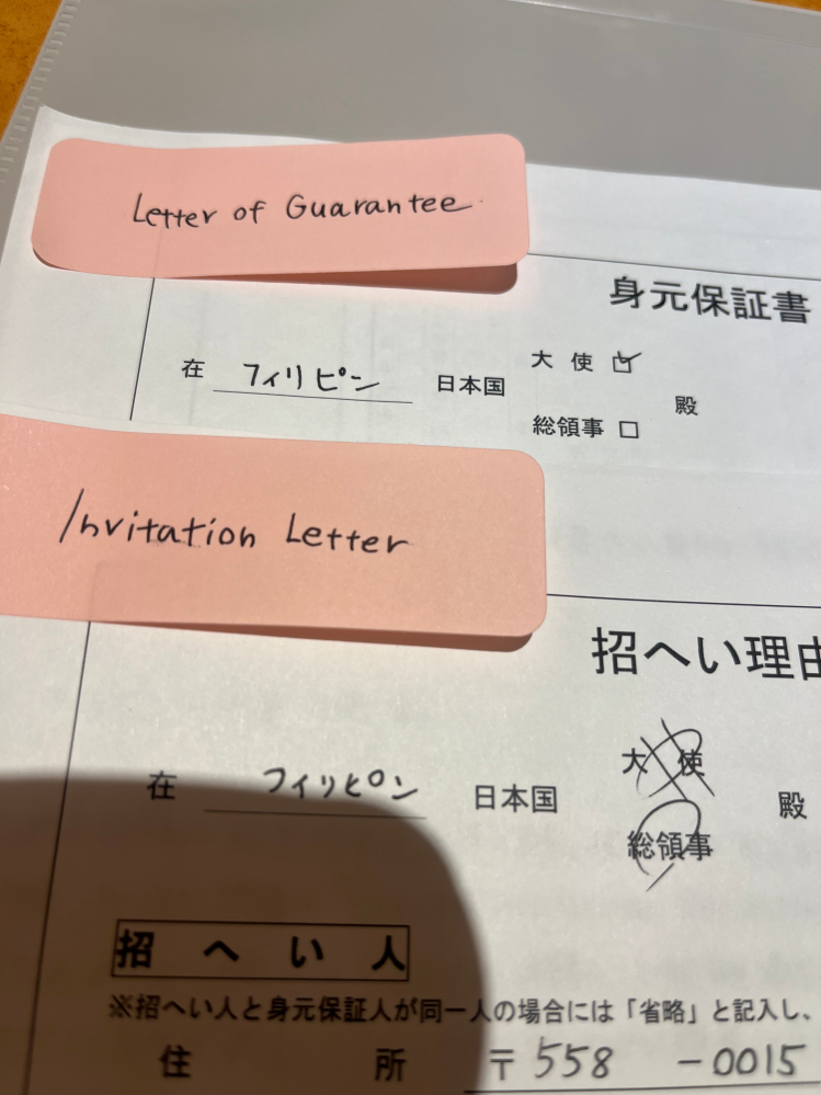 ビザ申請について。このように大使か総領事が分からず、ペケした書類をそのまま提出したらまずいですか？身元保証書については、身元保証人が近くにいないためすぐに訂正できません。