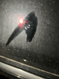質問の画像