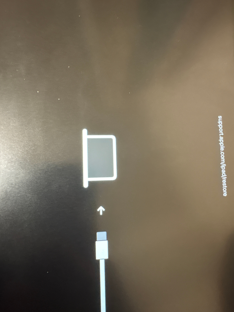 iPadにこのような表示が出てきたのですが充電しろということで