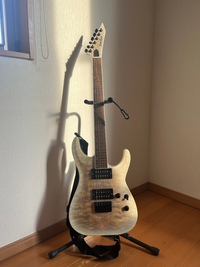 家にあったこのエレキギターのモデル？型番？が知りたいです