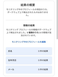【海外配送可】【送料無料】 これはダークウェブに情報が流出してるってことですか？(泣)【結 靴