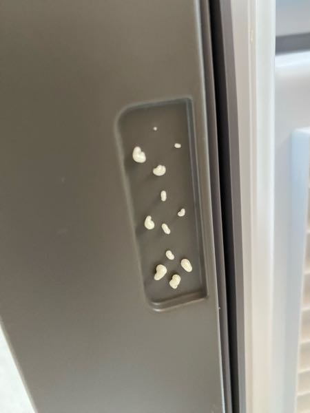 前回写真を載せ忘れたので再投稿します。この間冷蔵庫が届いたので 