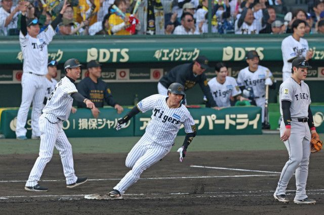 阪神甲子園球場でも虎の連勝ってコレは影の立役者が小幡竜平って皆さん思うでしょうかね？ 阪神vs巨人 カード 5回戦は デュプランティエ と石川達也 デュプランティエにGは上位で 早々にチャンスを作って 岡本和真は バックスクリーンにとは行かずも 犠牲フライで最低限の仕事を でも 数分後 トラも 石川に上位打線で チャンスを作れば佐藤輝明が二塁手を 嘲笑うかのごとく 抜いて トラの4番の仕事 似たような展開の中 4回に 吉川尚輝が 前川右京の 上を抜く 三塁打で 岡本が いい 当たり で吉川は問題なく 本塁に 帰れたが 中野拓夢が 阻んだことで安打にはならず Gは5回に 石川に 代打を出すなどして勝負に出たが 吉川の一撃は 森下翔太が 際どい打球もキャッチして 裏で グリフィンの初登板 坂本誠志郎が出て送れば渡邉諒が中安打は坂本本塁突入して同点 継投勝負は中川皓太が 7回を凌ぎ 8回に及川雅貴だったが 中軸で チャンスを広げて 満塁にして キャベッジとの勝負だったがキャベッジの一撃は小幡が抑え この日 実況の大阪 読売テレビアナの平松翔馬さんも声が大きくなり 大城卓三の打球も小幡が抑えゼロ 裏は大勢ではなく田中瑛斗で 森下の 左への打球は泉口友汰は 一塁に投げたが間に合わず とんでもない送球で二塁に進み そこから二塁 一塁で 大山悠輔 が左へ運べば 勝ち越し点が入り さらに 満塁になり 坂本の打球も左へ運べば 外野の頭を抜けて 3点差がつき ついでと言うのか小幡もどさくさ紛れ？ 高梨雄平から中犠牲フライの追加点 最後は石井大智で 運命のいたずら というのが 泉口 で終わり 試合は阪神の 6-2 このカードの対戦成績がこれで阪神の5連勝 それにしても 中日から巨人に移籍したライデル・マルティネスは 去年は43 セーブ あげながら 実は 甲子園球場では中日が1つも勝てなかったがために ゼロ セーブ だったが 今回の甲子園 シリーズも 出番 与えられず もしも キャベッジの 一撃が小幡から あと1ミリでもズレていたら 間違いなく 阿部慎之助監督は 大勢からライデルのつもりだったろう中で 同点で 田中ってのは何だったんだろうと思いながら だったが