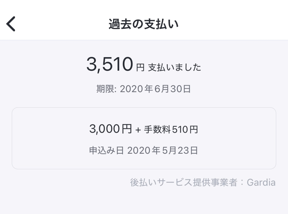 バンドルカードについてです。 画像は、「ポチッとチャージ」の支払いができているという解釈で間違いないですか？ 教えてください。お願いします。
