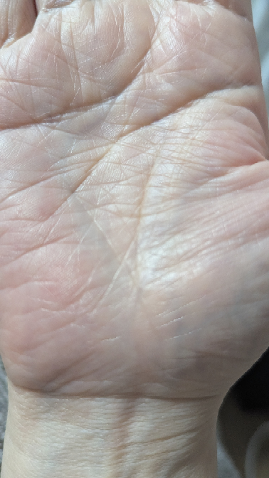 起業の話があります。 手相の見れる方見て下さい。 向いているでしょうか？