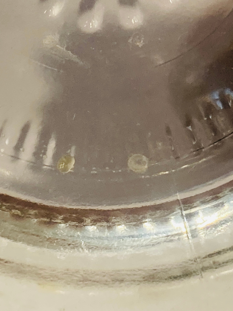 メダカに詳しい方に質問です。 メダカの有精卵を一つ見つけ、取り分けていたのですが、どうも殻と中身？が分かれているみたいなんです。（写真だと右の白いのが殻、左が中身です。） まだ身体も十分に育っておらず、うっすら小さく白い身体が見える程度です。 これは助かりますか？ 私もこんなことは初めてで、衝撃を与えたりした覚えはなく…。 何が原因でしょうか？
