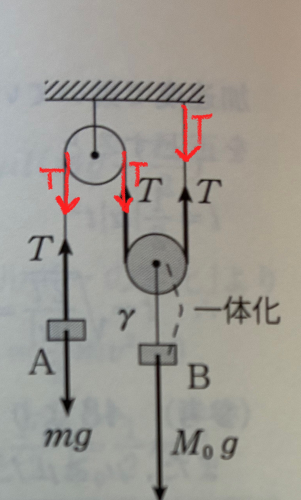 高校物理、ふたつの滑車の問題です。 赤のTが要らないのは何故ですか？