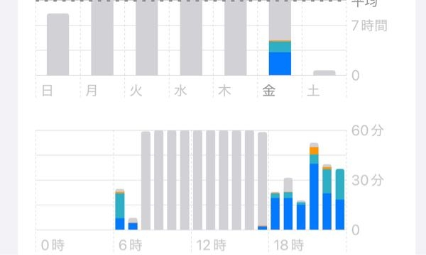 スクリーンタイムの灰色の部分って何ですか？
