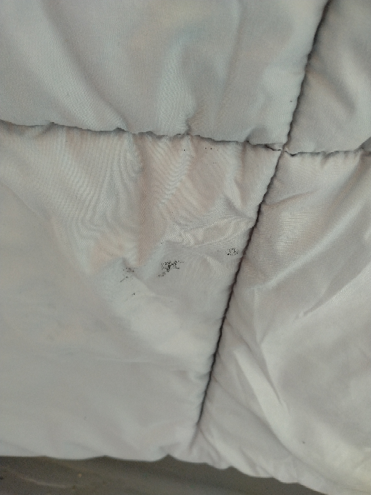 この布団についてるのってカビですか？汚れ？家事、掃除