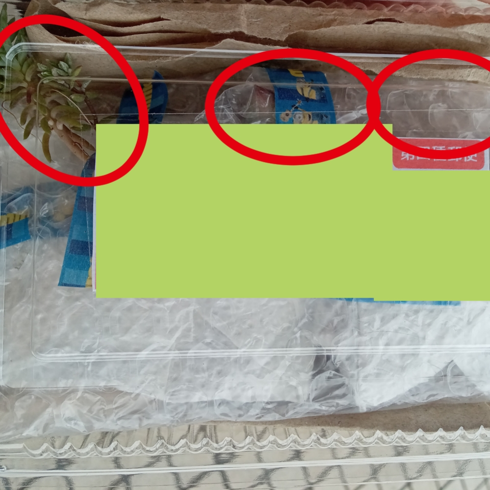 第4種郵便物（植物種子等郵便物）の梱包方法について質問です。で