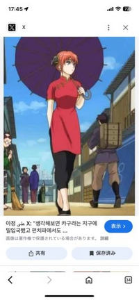 人気 キャラクター アニメ 戦闘民族ここにあり!銀魂に登場する