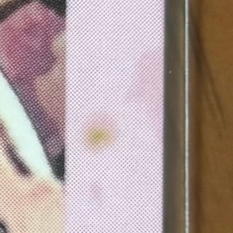 メルカリで『目立った傷や汚れ無し』に設定されている場合、詳細を説明に記載せずとも問題ないのでしょうか。 購入したトレカに油シミのような汚れがありました… 商品ページの写真にもよく見ると汚れがあったので、良い評価（無言）で終わらせるべきか悩んでいます。 商品写真では薄暗く、見えずらかったです、、（言い訳…ですね） また、プロフィール欄にも返品、返金は受け付けていないと記載されているので、ご対応いただくのは難しそうです。 皆さんでしたらどの様な対応をとりますか？ ご参考にさせていただきたいです。