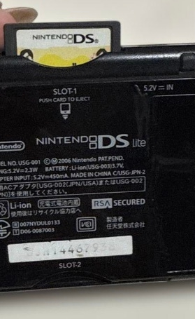【全難易度クリア済‼️】ソーマブリンガー　DS ソーマブリンガー : Game Soft (Nintendo DS) | HMV&BOOKS