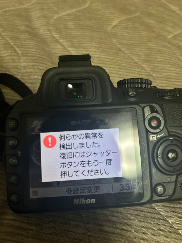 NikonD3100がこのような表示になりました。いくらシャッターボタン