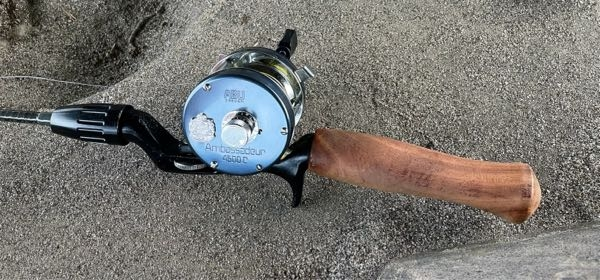 ダイワ　竿とリール DAIWA（釣り） ダイワ ライト SW X IC SS (船用 両軸リール